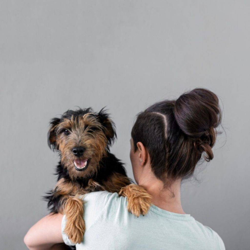 15 reformas al codigo civil