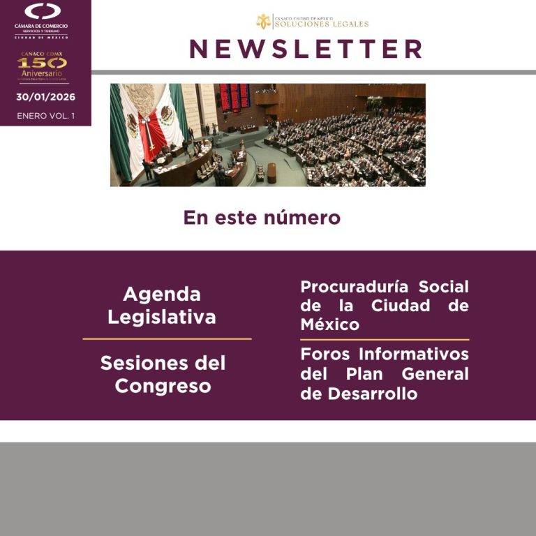 Newsletter Enero 1