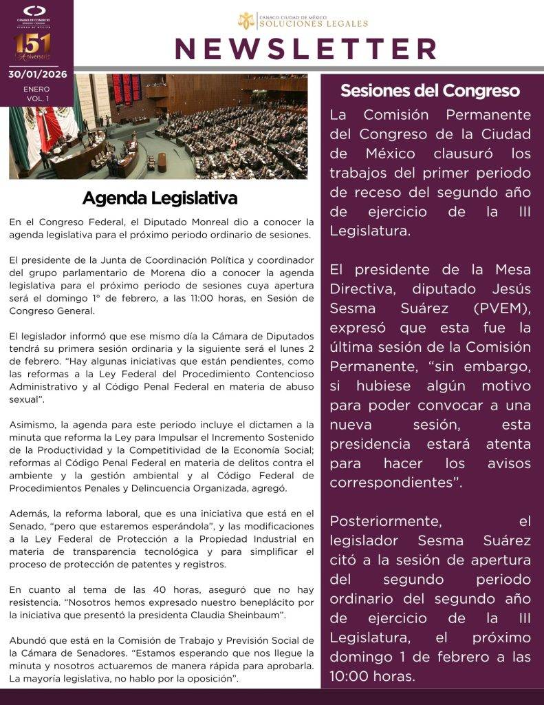 Newsletter enero 01 IMG